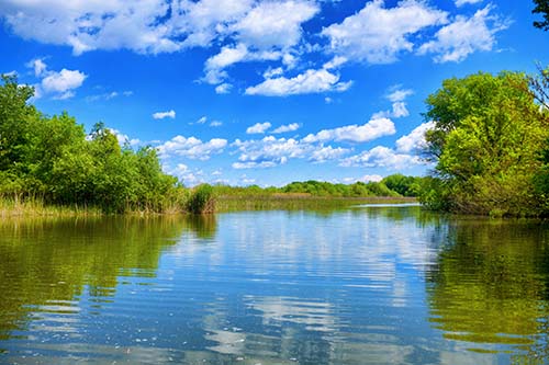 CANUE | Environments and Health Signature Initiative Webinar: Resource Development | March 9, 2023 | 12:00 - 1:30 p.m. (ET)The beautiful Tisza lake with a nice reflection on the water