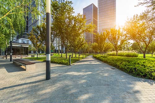 CANUE | Making the Most of Residential History | February 4th | 2020beautiful park at a sunny day, nanjing, china