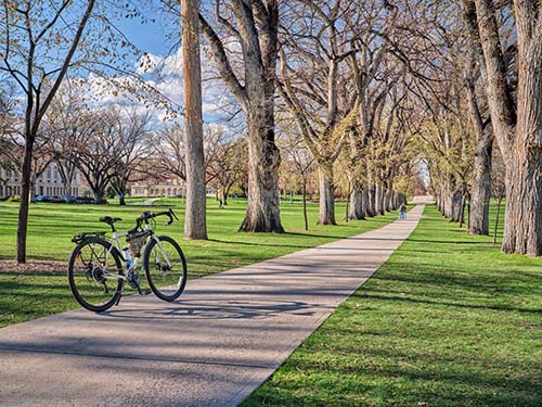 CANUE | Using Sensors to Assess Environmental Exposures | May 15 | 2018Allee of old American elm trees with bicycle