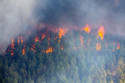 CANUE | Extreme Heat, Forest Fires and the Role of the Built Environment | October 7th | 2021Fire in the forest