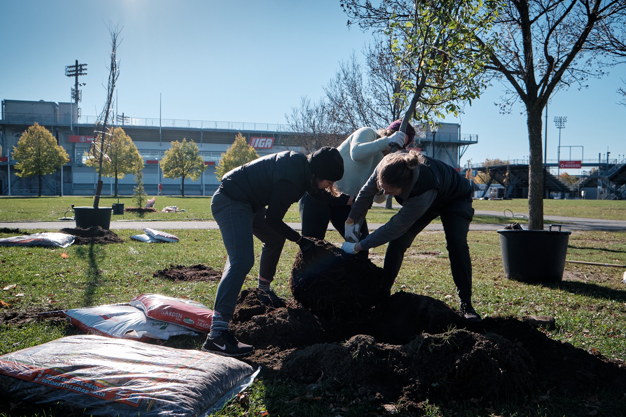 CANUE | Planting Trees to Attenuate Heat Waves in MontrealDMorissette__DSF6113