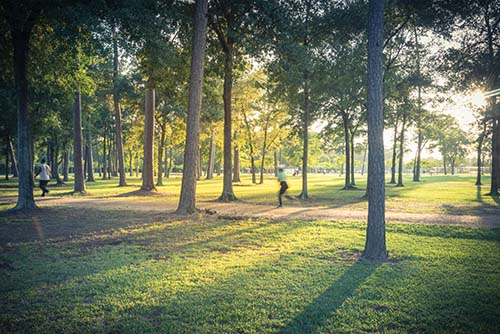 CANUE | Does Living in Greener Areas and Near Water Affect Mortality? | October 10 | 2017 | VIDEO AVAILABLEUrban park in Texas, US, huge pine trees, trails illuminated by