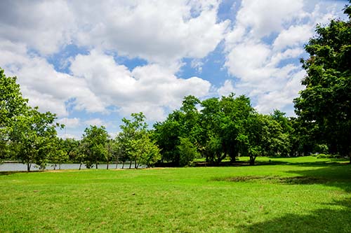 CANUE | Interactive Mapping of Environmental Health Assessments |  MARCH 19 | 2019Green Park. Green Park in Urban City at Cloudy, excercise and re